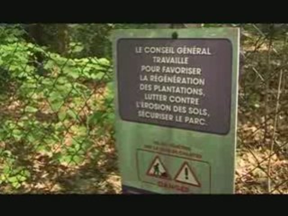 Balade au coeur du Domaine de Saint-Pons (13)