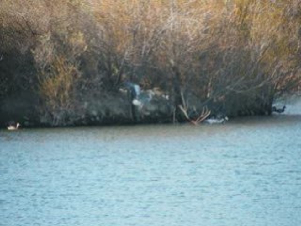 Sortie lac de millas