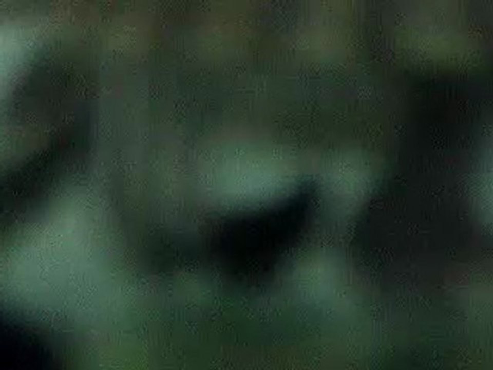 PENİS KAPLUMBAĞANIN CİNSEL ORGANI