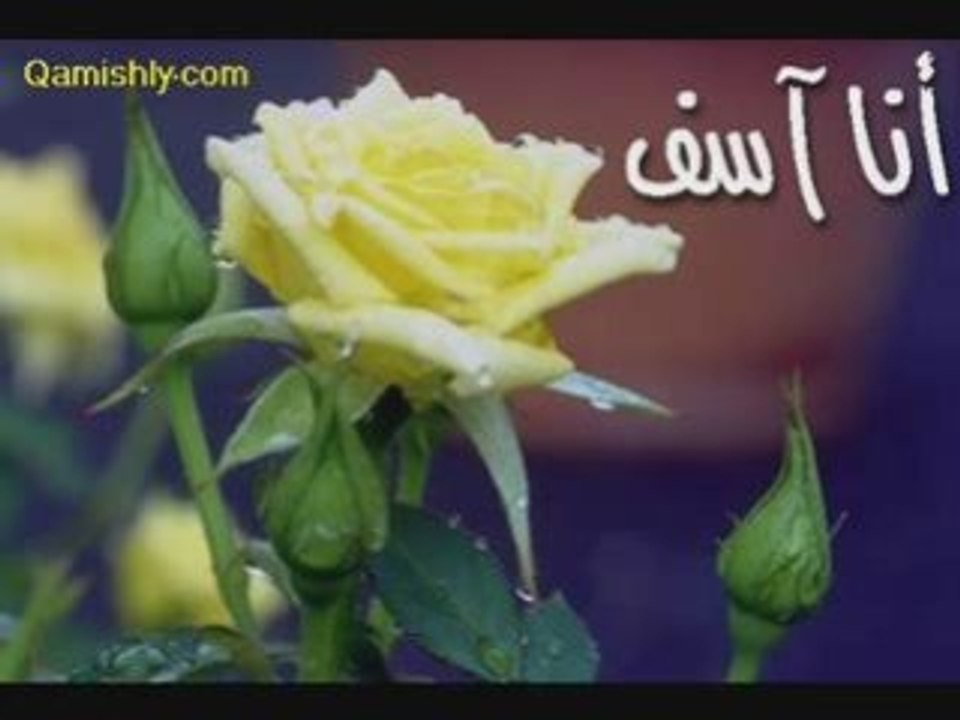 جورج وسوف