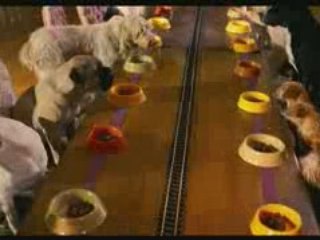 Palace Pour Chiens - bande annonce 2 VF