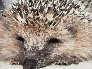 Connaissez vous l'histoire ....