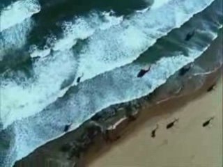 La chute du faucon noir - 1