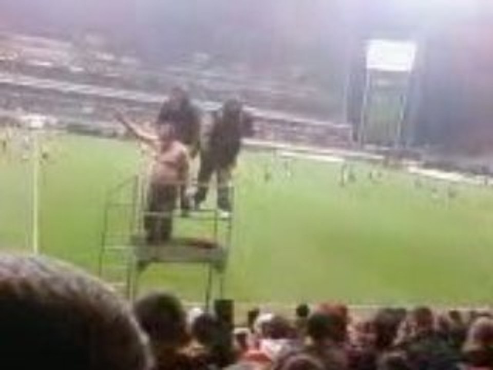 lens Montpellier  "aller les sang et or"