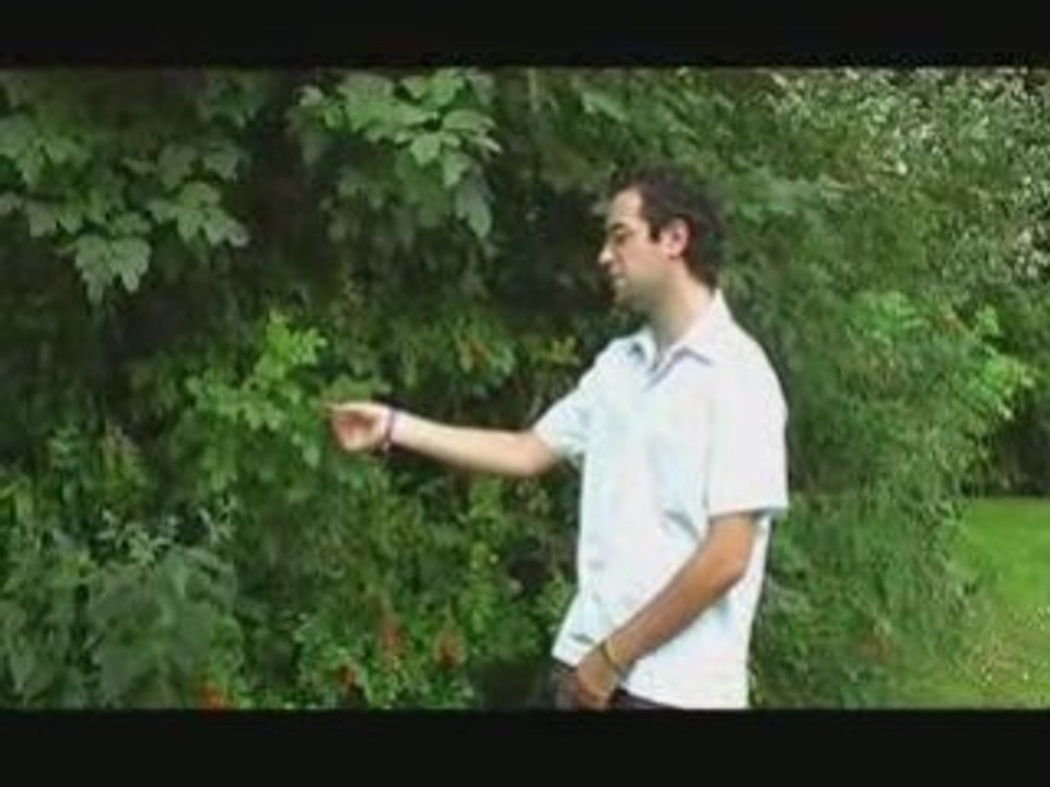 jardins et dépression, épisode 425