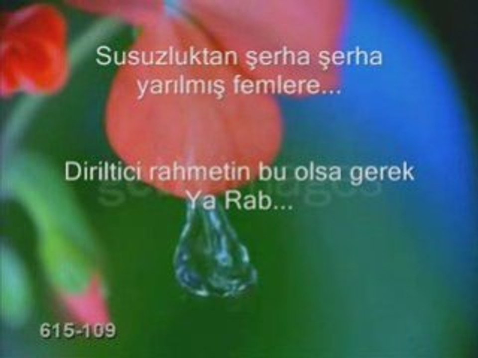 şiir