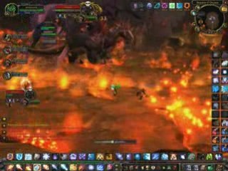 Onyxia templier_0001