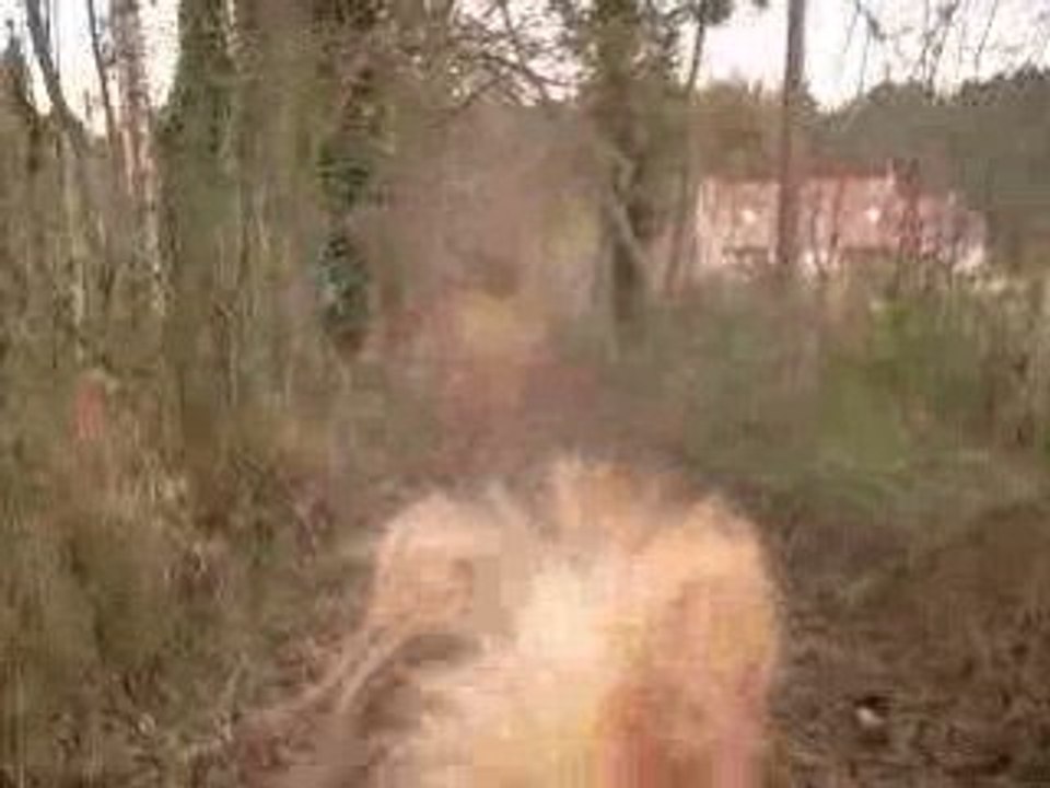 Pilou galop petit bois