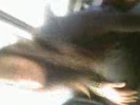 Mulhouse 68200 Mariage Siham