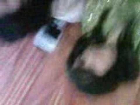 Mulhouse 68200 Mariage Siham