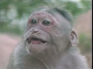 La Star'Ac vu par les eleves de Sud Formadia (1)