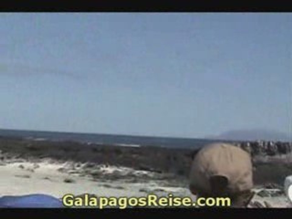 Video The Galapagos Islands - Part 06