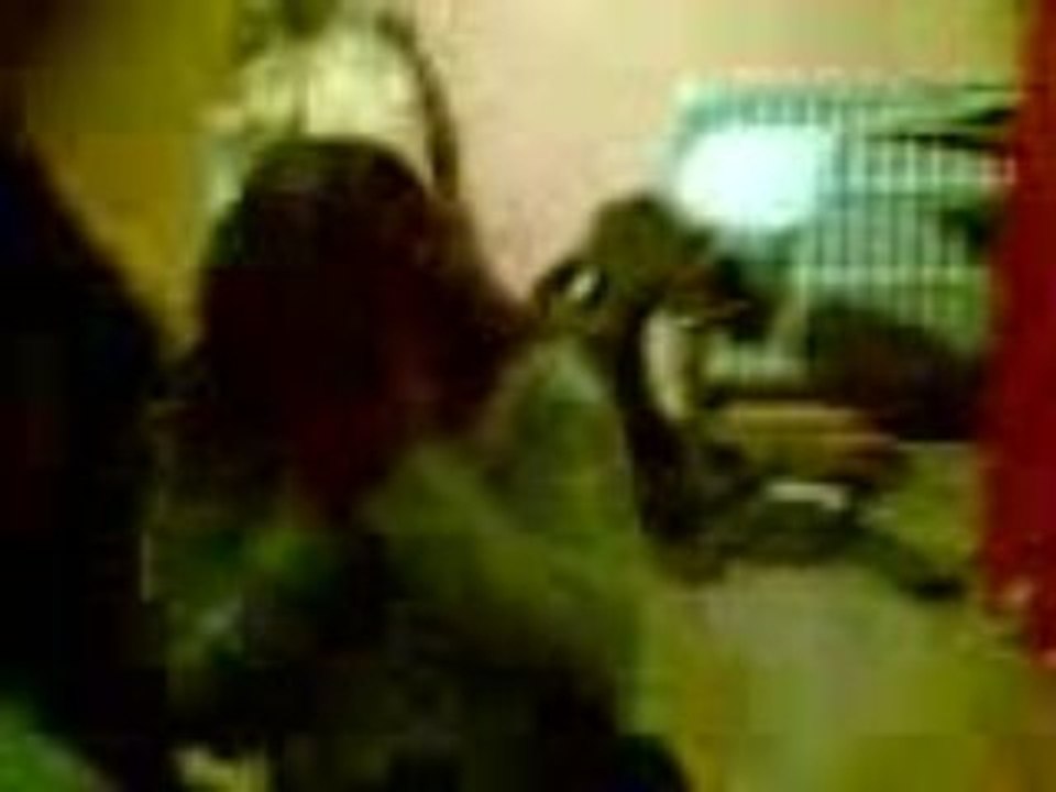 Quand le Vent nous Emporte XD