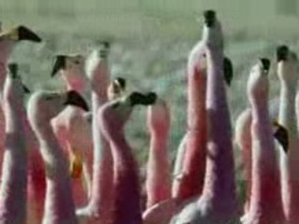 Planet_earth