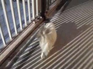 12.12.2008 FROID NEIGE ET SOLEIL 056