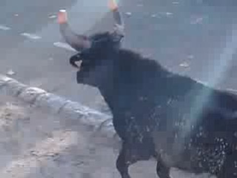 encierro d'hiver a caissargues