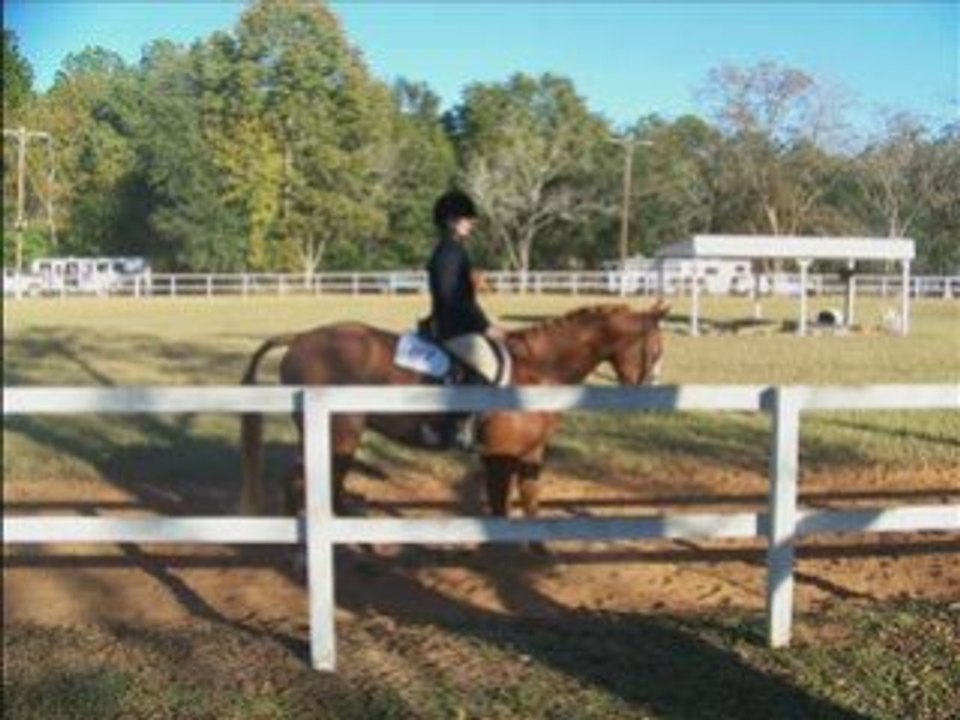 First Show on Hotshot