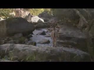 Brasil Doce Lar Trailer