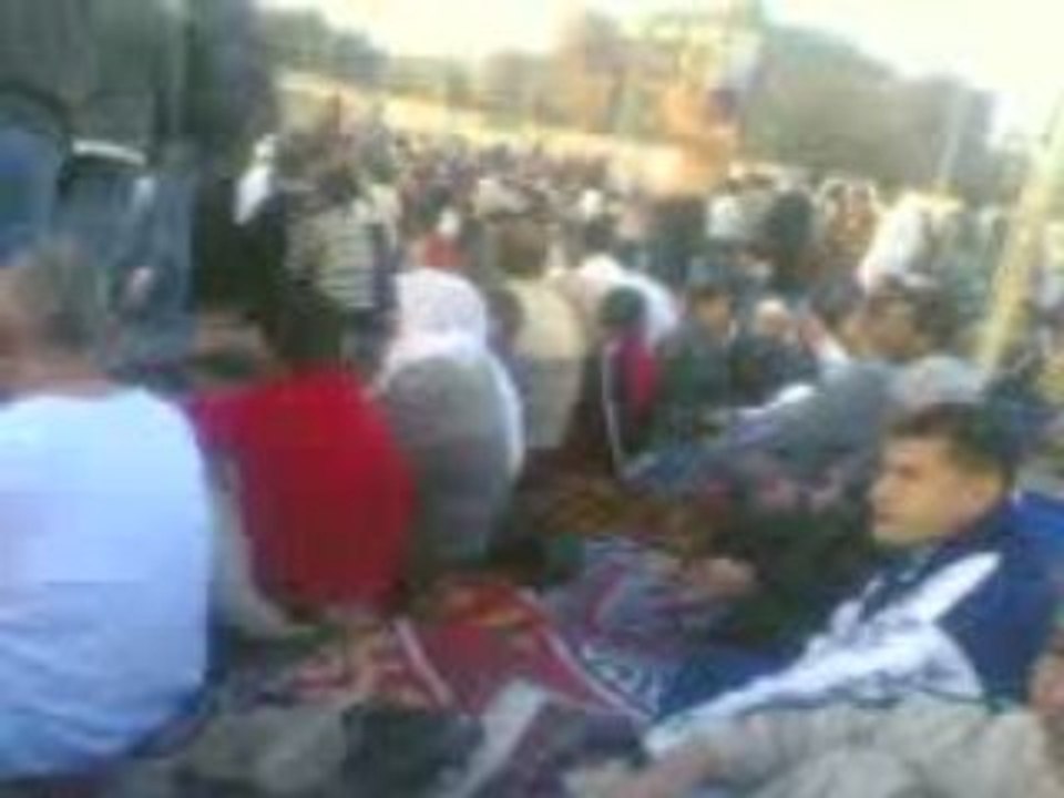 3EED