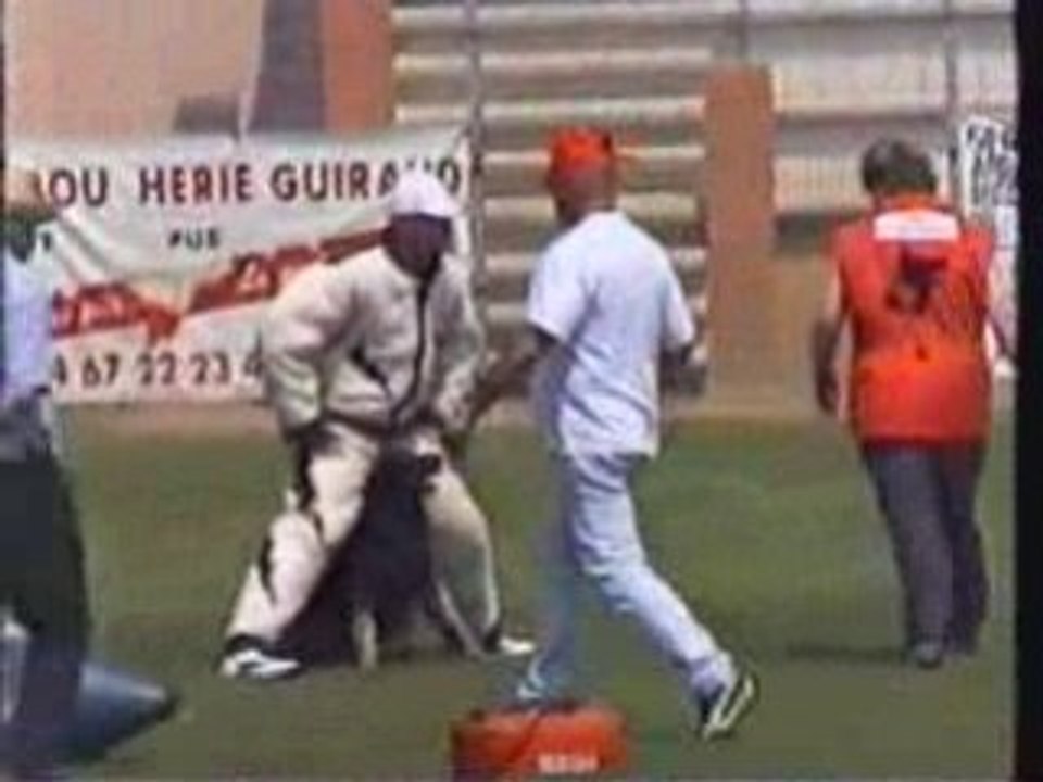 Ours du Musher dis Cobra a Mauguio