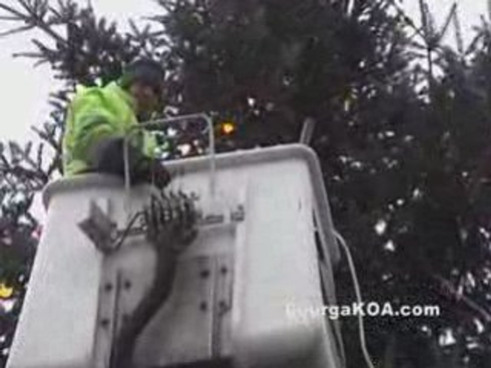 Bourganeuf > Le Sapin est arrivé...
