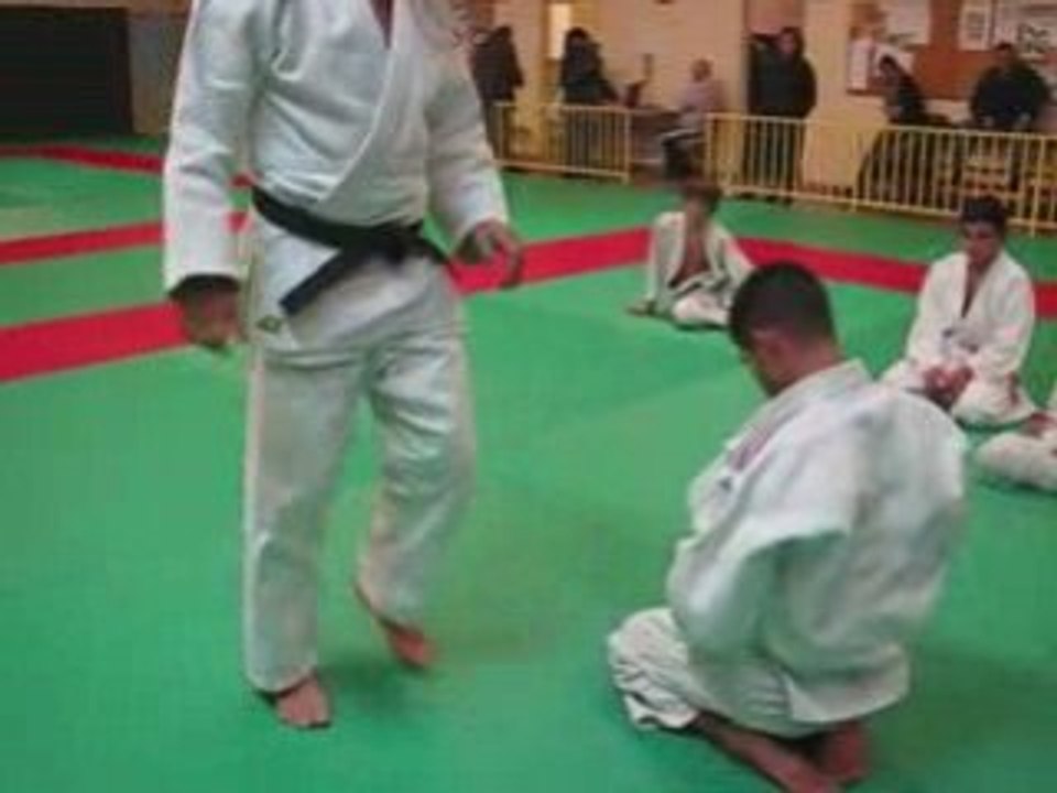 Sankaku variantes