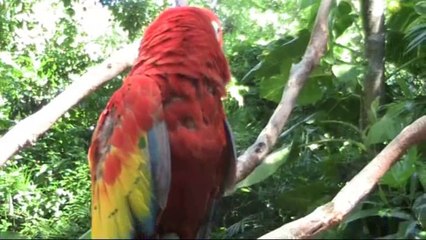 11 - Entrée de Xcaret