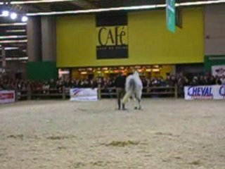 Andy et Oakies (2) salon du cheval 2008