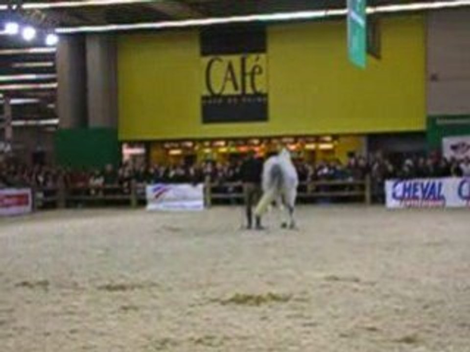 Andy et Oakies (2) salon du cheval 2008