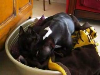 elle est pas belle la vie?