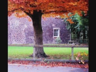 [MUSIC] Cat Power - Wonderwall