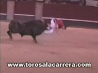 Recortes Final 2003