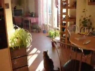 Repas s'il te plaît!