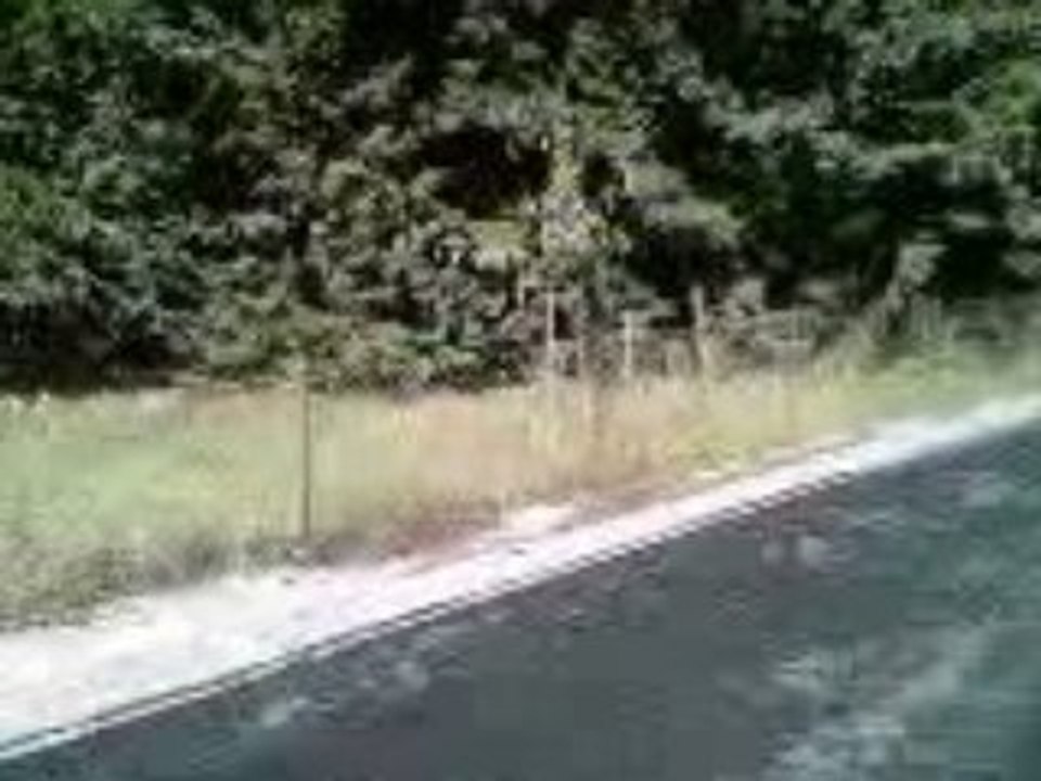 Video-0005
