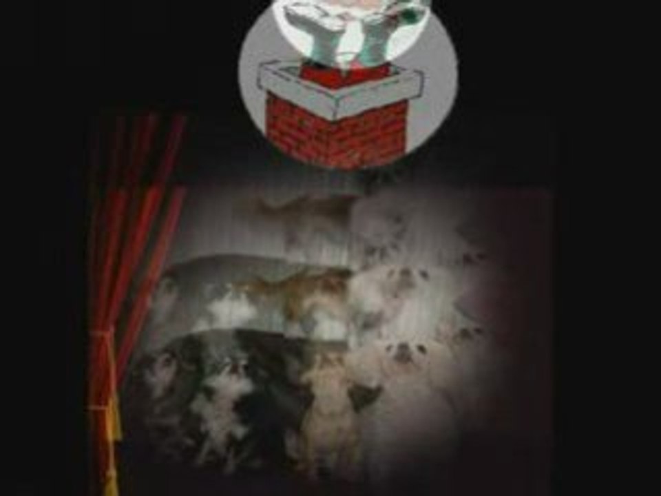 Viteurs de Noël2008