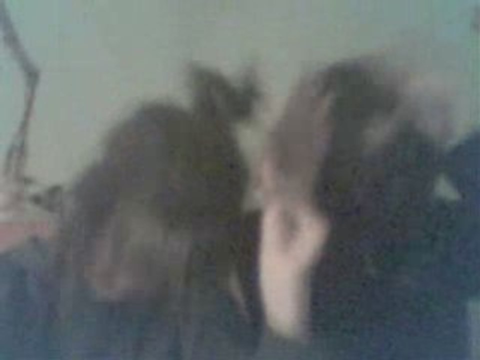 Les Petites Caramelles (Dancen)