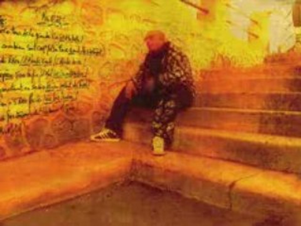 Freeman - Mes Motifs