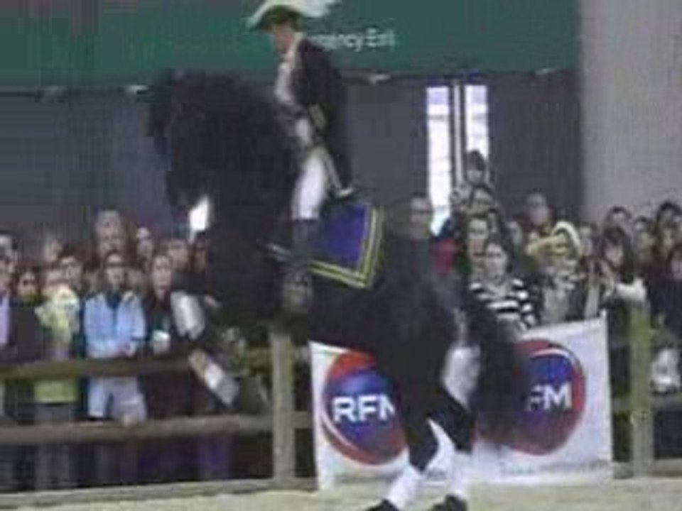 Jeune frison a vendre au salon du cheval =)