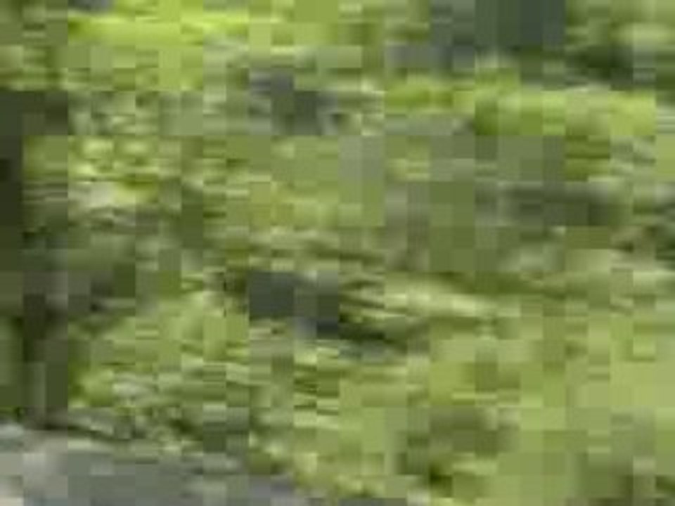 видео отпуск 044