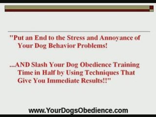 Dog Obedience Training Secrets