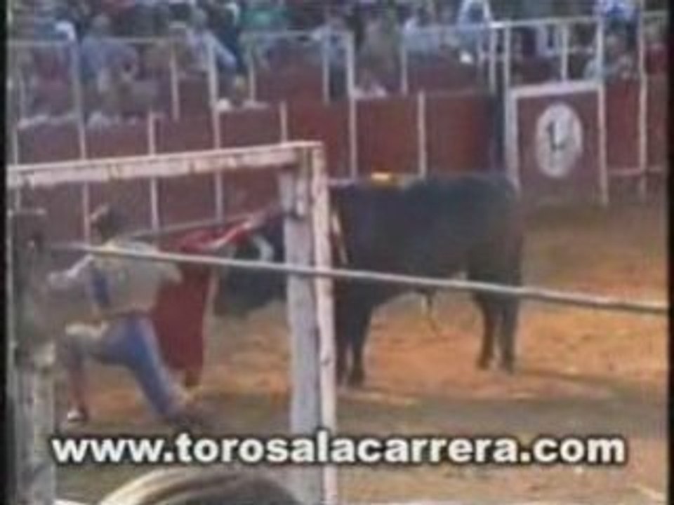 Toros en Las Rozas