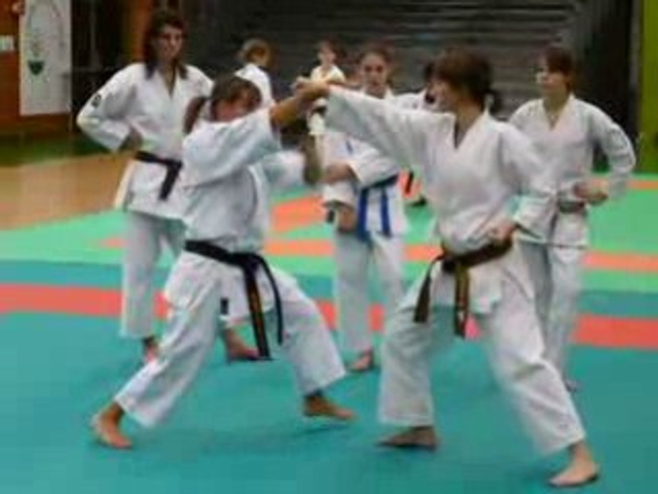 3 techniques sur coups de poing menton (2)
