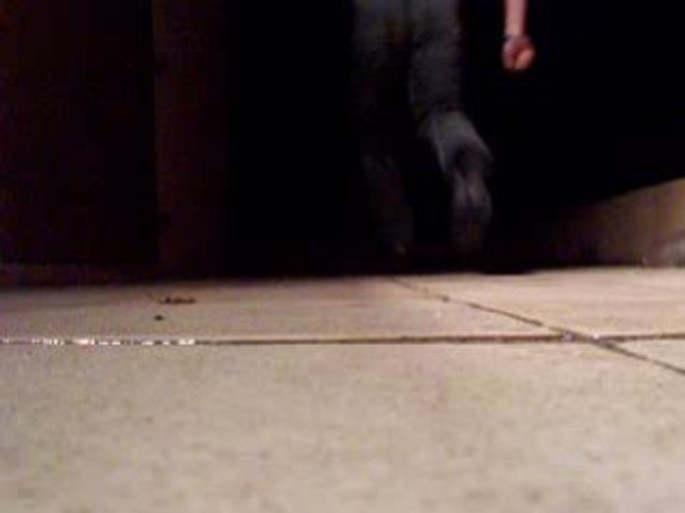 2 glissade en terrasse mdr