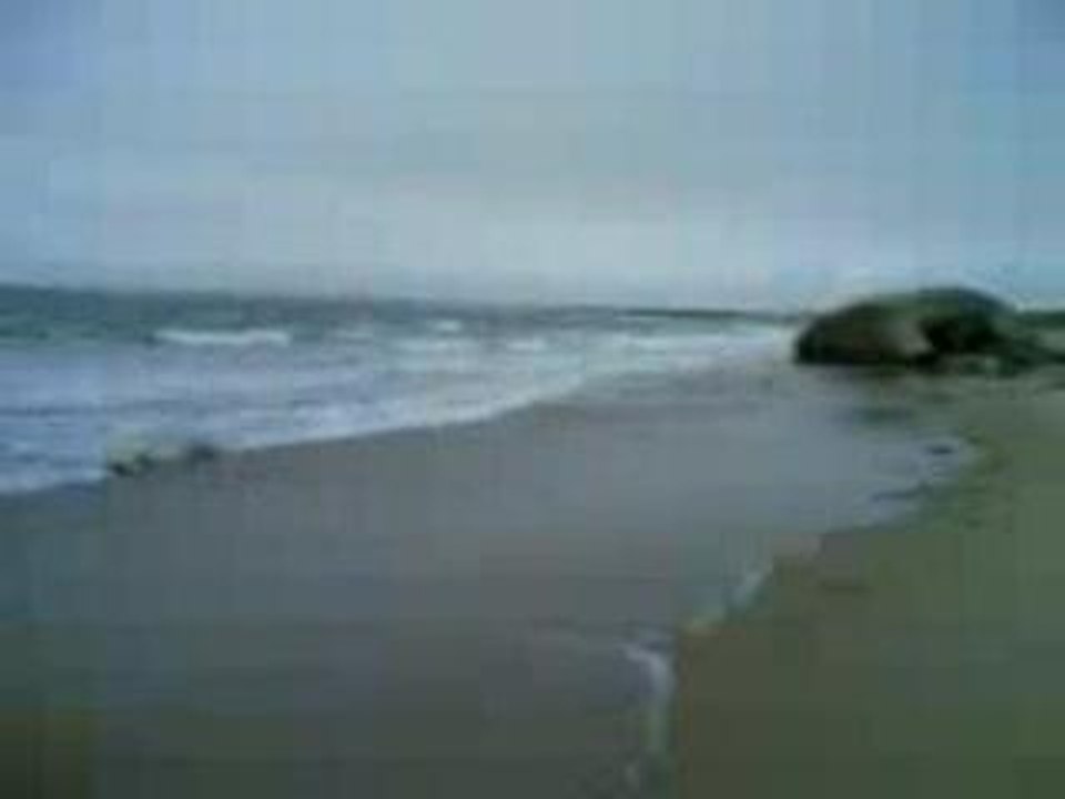 La Mer