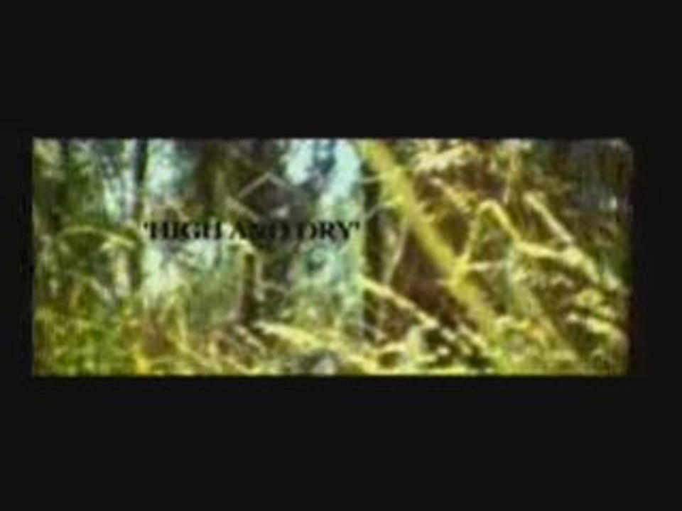 Amorphous_Androgynous_Interview