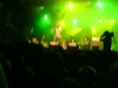 Paillons de nuit 2008 Le peuple de l'herbe (herbman)