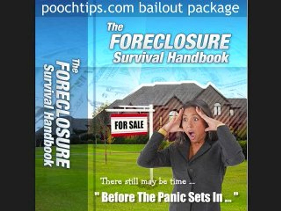 housebreaking puppies