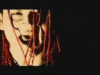 NICOTINE - Someday: A Reflection