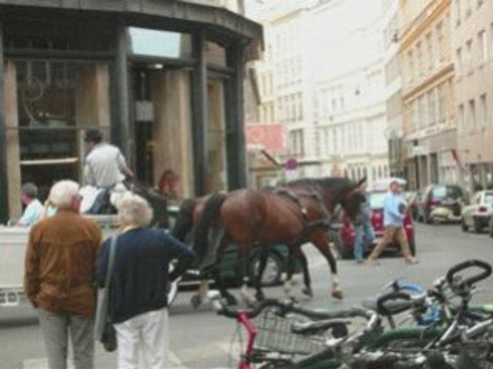 Вена вчера и сегодня