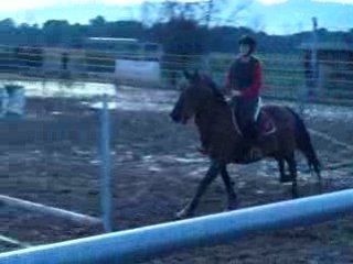 Cours de saut 5e essai